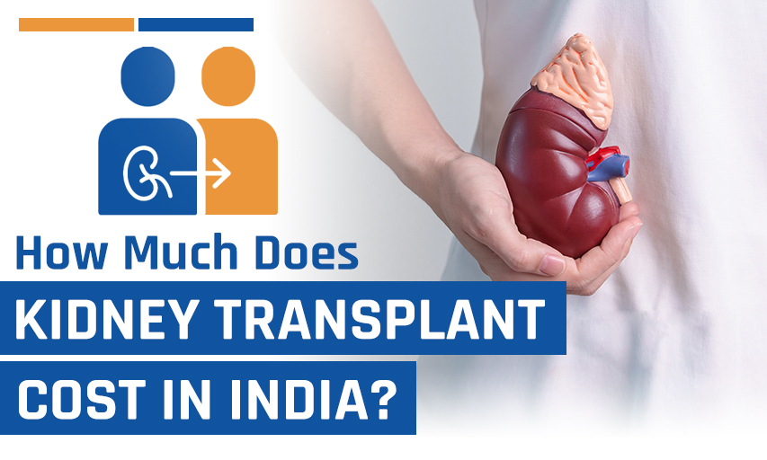 How Much Does a Kidney Transplant Cost in India vs Other Countries