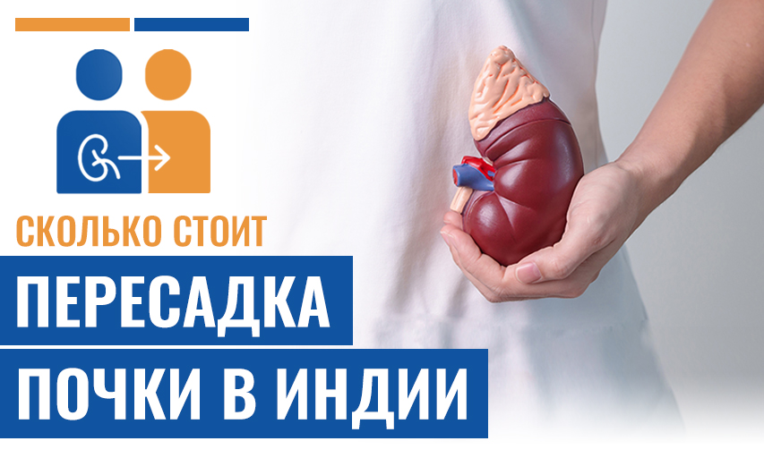 Сколько Стоит Пересадка Почки В Индии По Сравнению С Другими Странами?