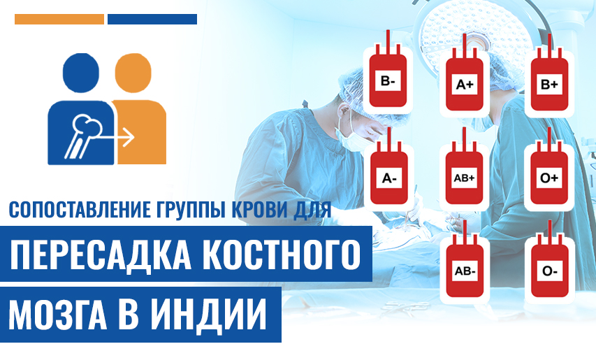 Как Проводится Сопоставление Группы Крови Для Пересадка Костного Мозга?
