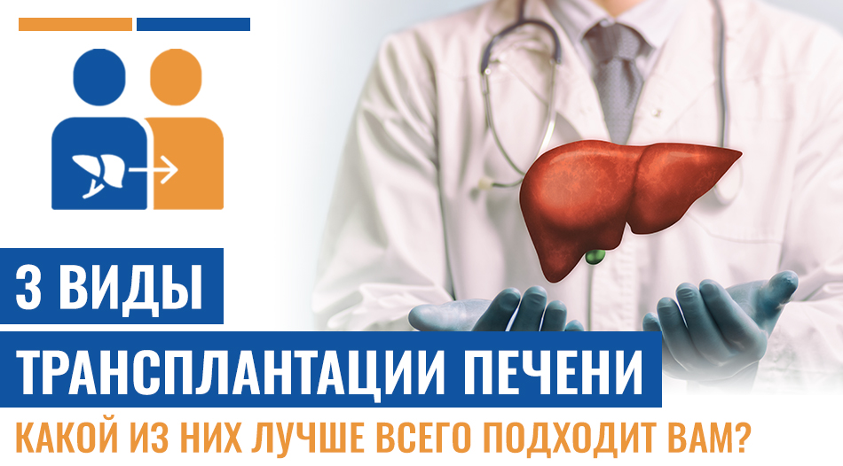 Виды Трансплантации Печени: Какой Из Них Лучше Всего Подходит Вам?