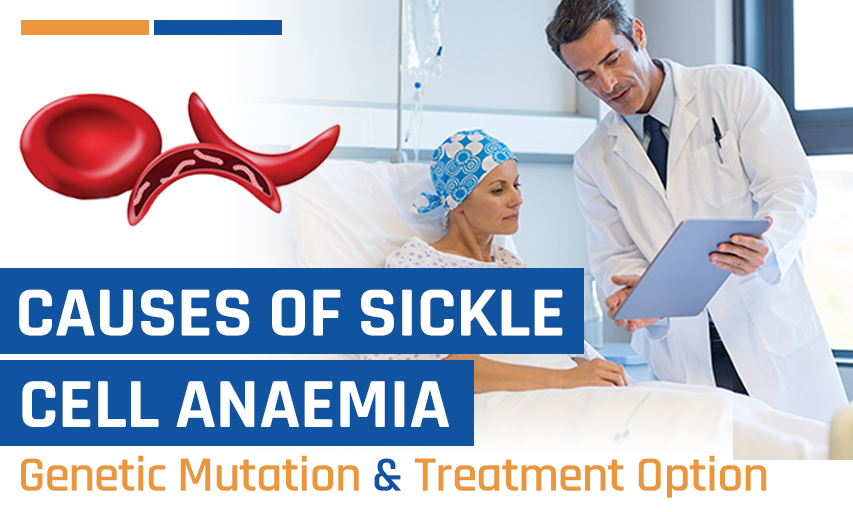 What are the Factors for Sickle Cell Anaemia and Their Inheritance?
