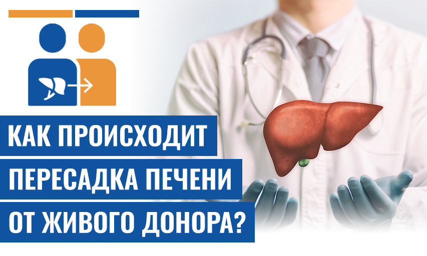 Можно Ли Пересадить Печень От Живого Донора?