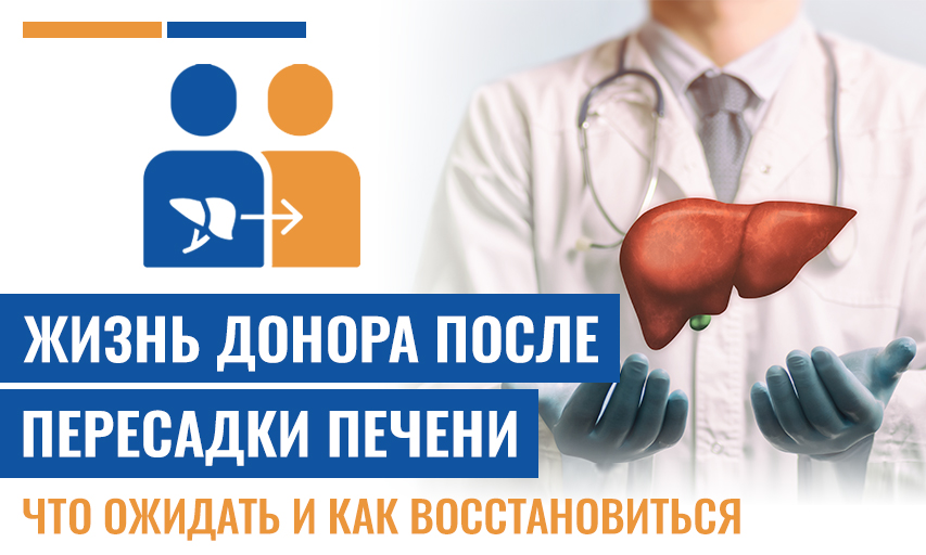 Жизнь Донора После Пересадки Печени : Что Ожидать И Как Восстановиться