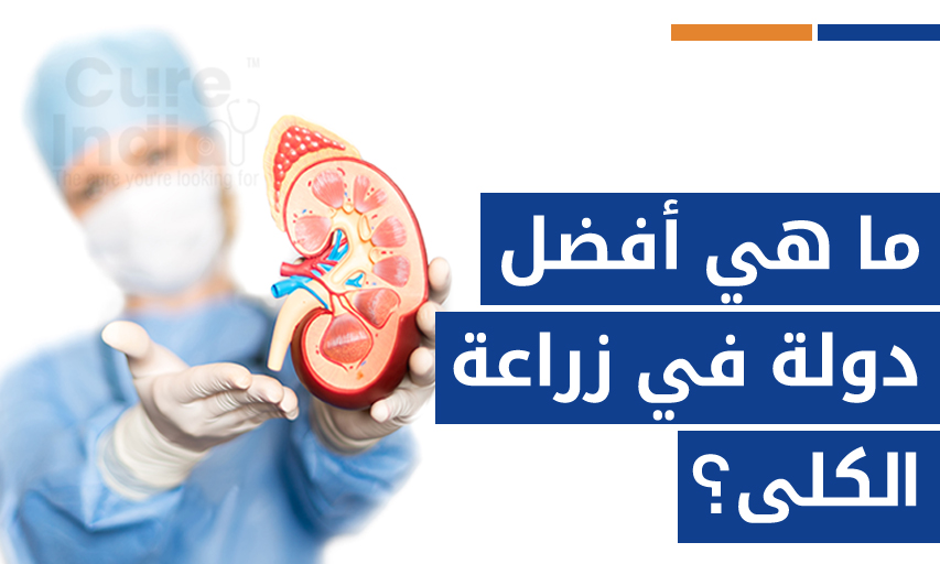 ما هي أفضل دولة في زراعة الكلى؟