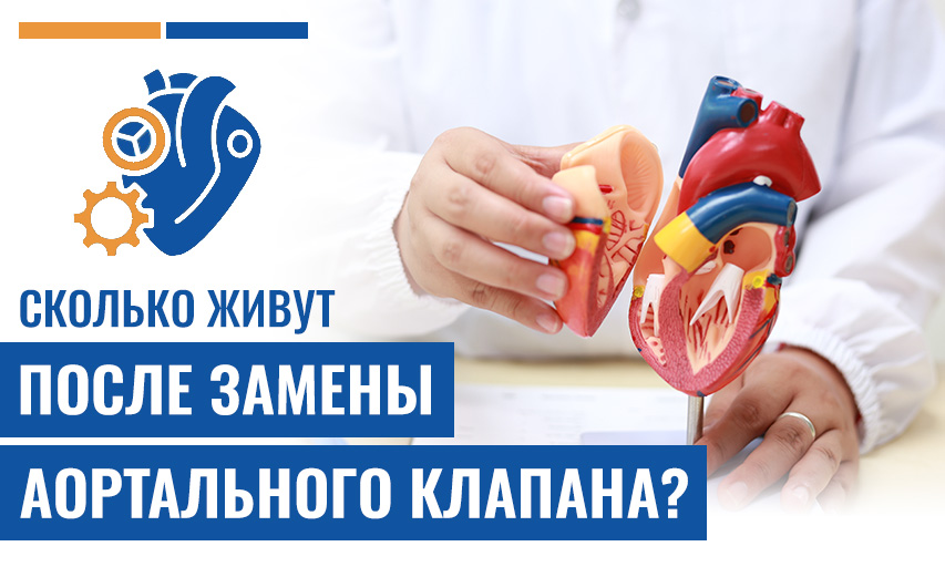 Сколько Живут После Замены Аортального Клапана?