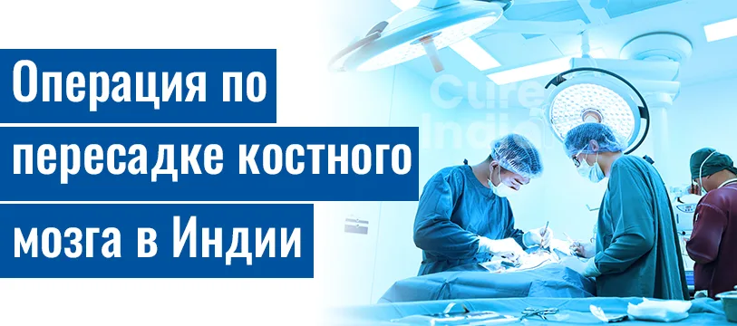 Пересадка Костного Мозга Как Происходит