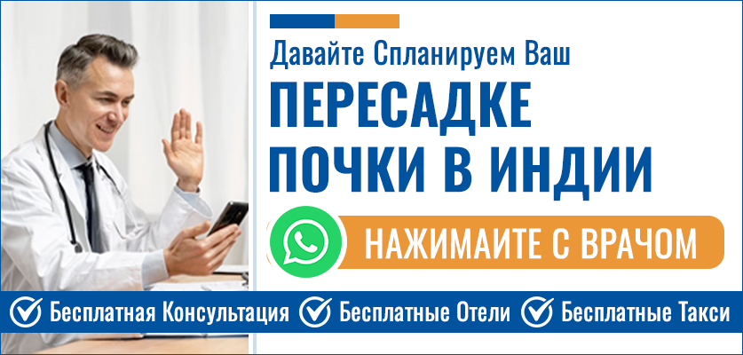 Пересадке Почки В Индии