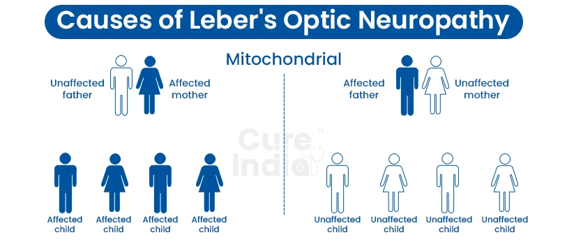 Causes of Leber's Optic Neuropathy