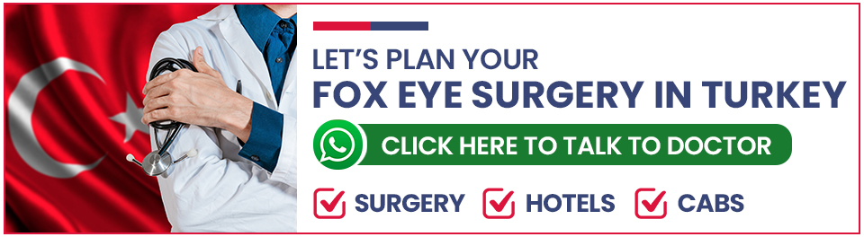 Plan Your Fox Eye Surgery in Turkey