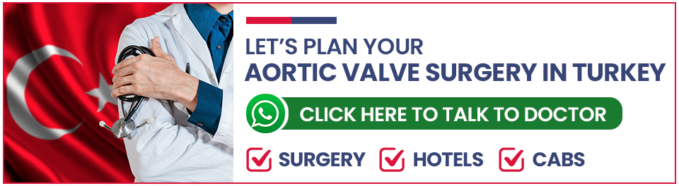 Plan Your Aortic Valve Replacement Surgery in Turkey