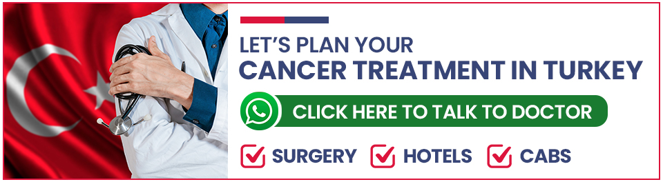 Plan Your Kidney Cancer Treatment in Turkey