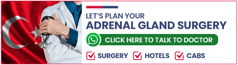 Plan Your Adrenal Gland Surgery in Turkey