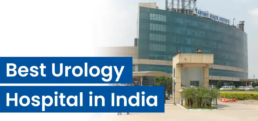 Artemis Urology Hospital