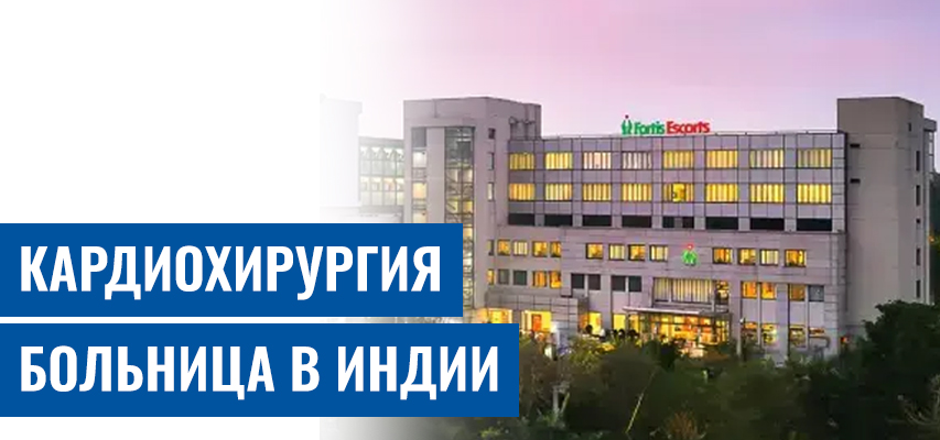 Фортис Эскортс Сердца Институт