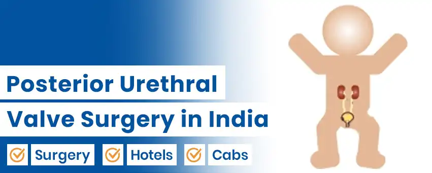 Posterior Urethral Valve Surgery