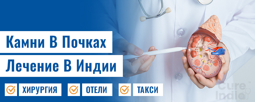 Камни В Почках Лечение