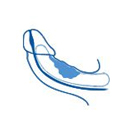 Болезнь Пейрони Лечение