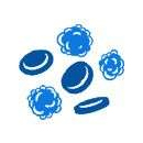 Acute Lymphoblastic Leukemia