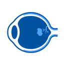 التنكس البقعي المرتبط بالعمر