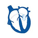 بالون الصمام  الرئوي