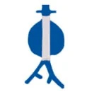 Endovascular Aortic Aneurysm Repair