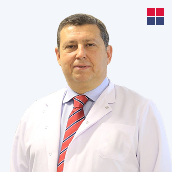 Prof. Dr. Abut Kebudi