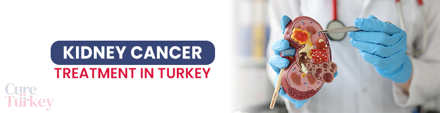 Kidney Cancer Treatment