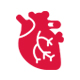 Heart Bypass Surgery