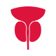 Urethroplasty