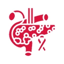 Pancreatic Cancer