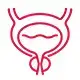 Endoskopische Prostataoperation