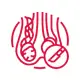 Varicocele Surgery