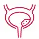Neurogenic Bladder Treatment