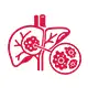 Liver Cancer