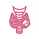 Thyroid Cancer