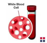 cureindia